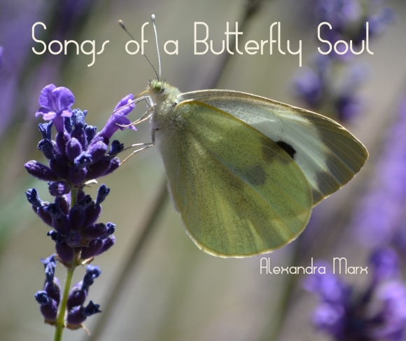 Songs of a Butterfly Soul